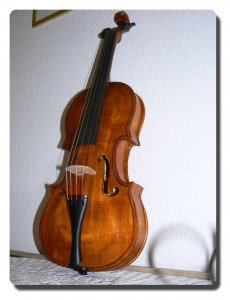 P1000754_phatch