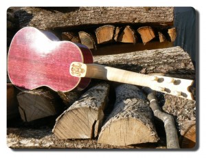 P1110542_phatch